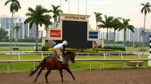 lotohipico's tweet photo. #DOMINGO #Junio09. 2024. #GulfstreamPark #AMERICANAS #hipismo @DerbyNoqueador
Asesoría +58 4248131900.
✔️TERCERA CARRERA: 6 "Base"/2. 🏇👊. El número 6 ajustó en tapeta, y al trainer le gusto como se desempeño el 6 de mayo.
A LIGAR EL #6 "TAPARINO" CON J. MORELOS👏
🤜🤜🤜 https://t.co/3lTXTcnFWj