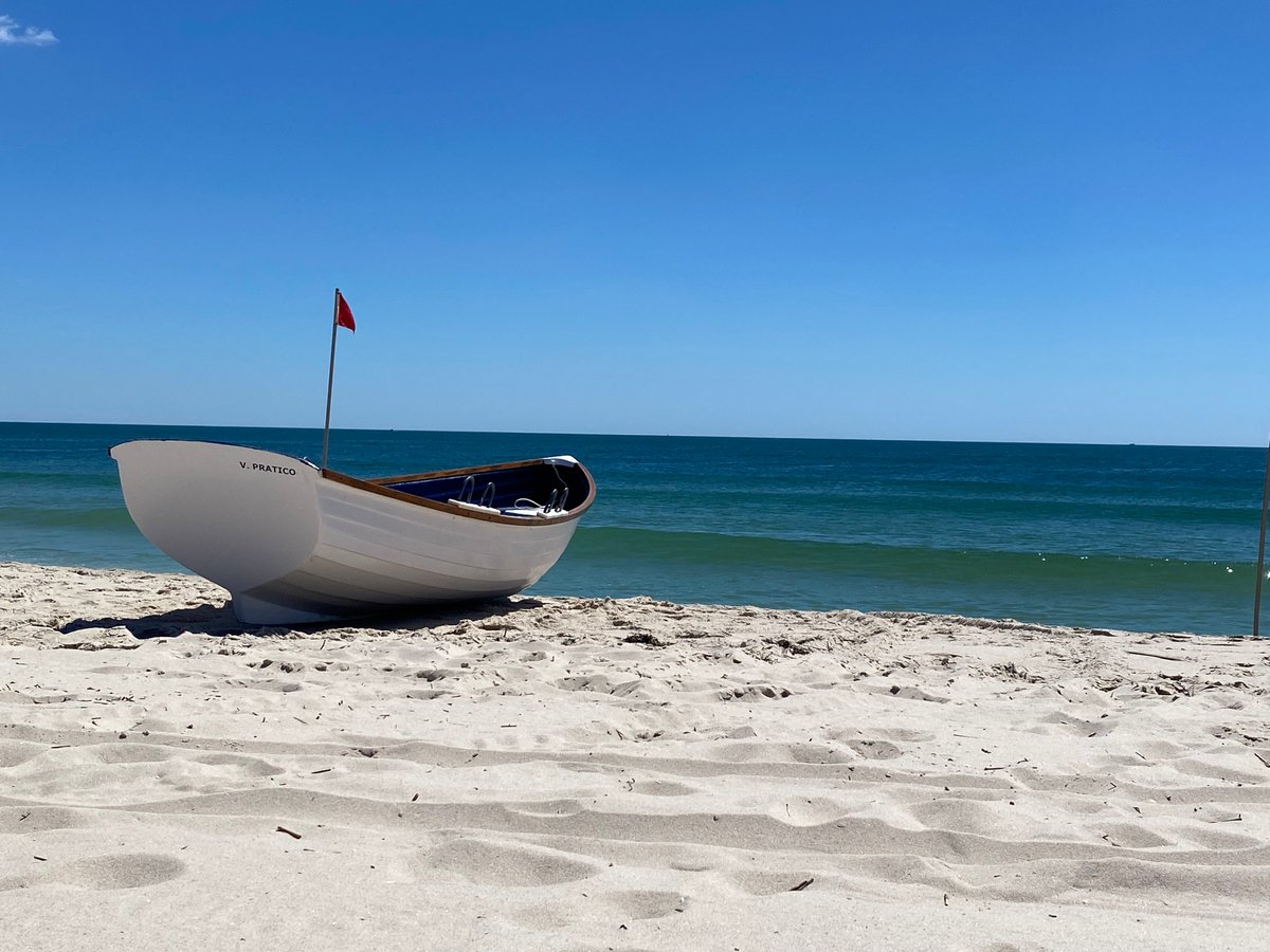 Soto Lab tweet media