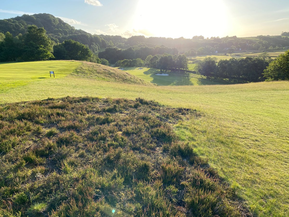 Chris harding tweet media