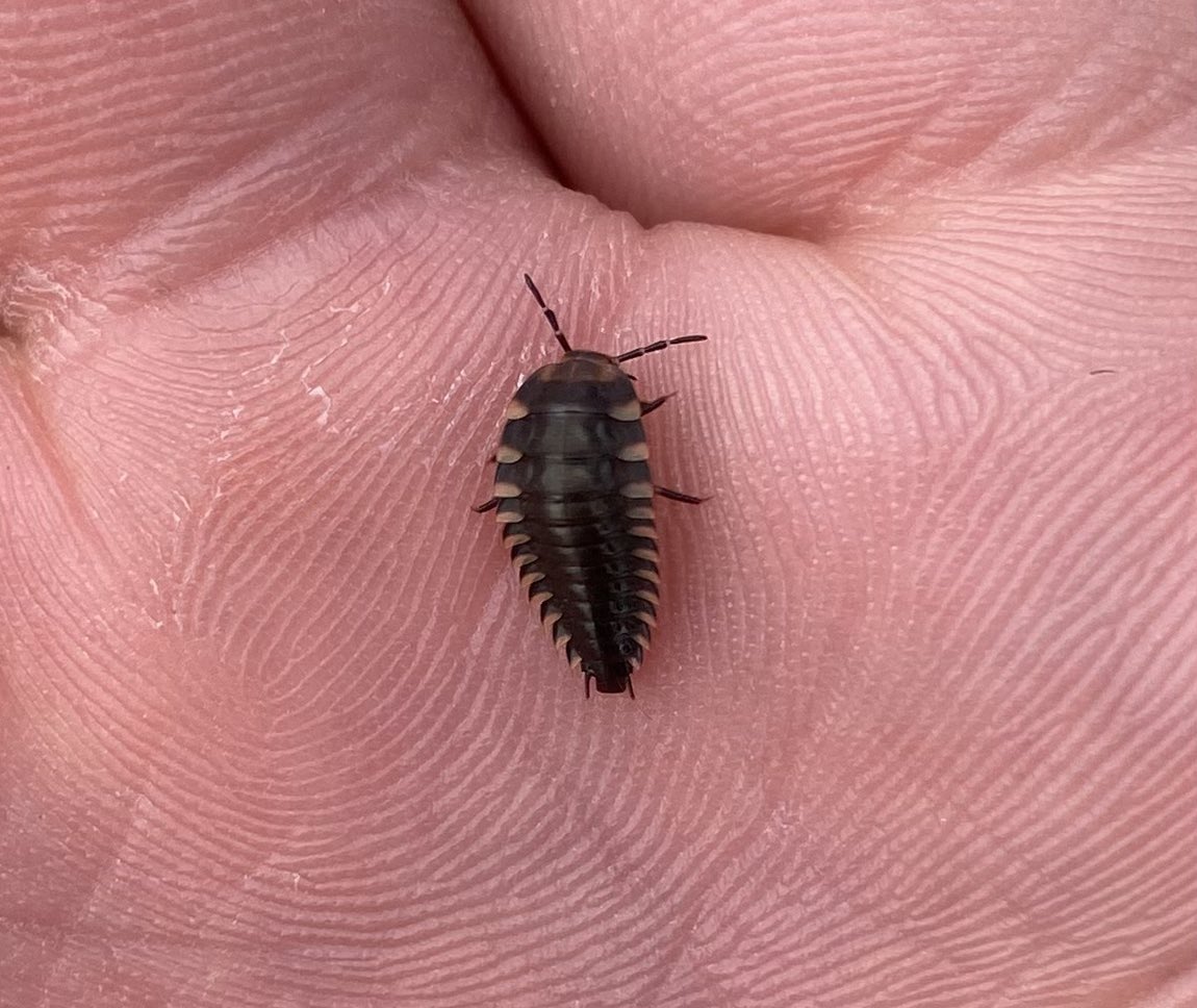 Laura Fairs 🌍 tweet media