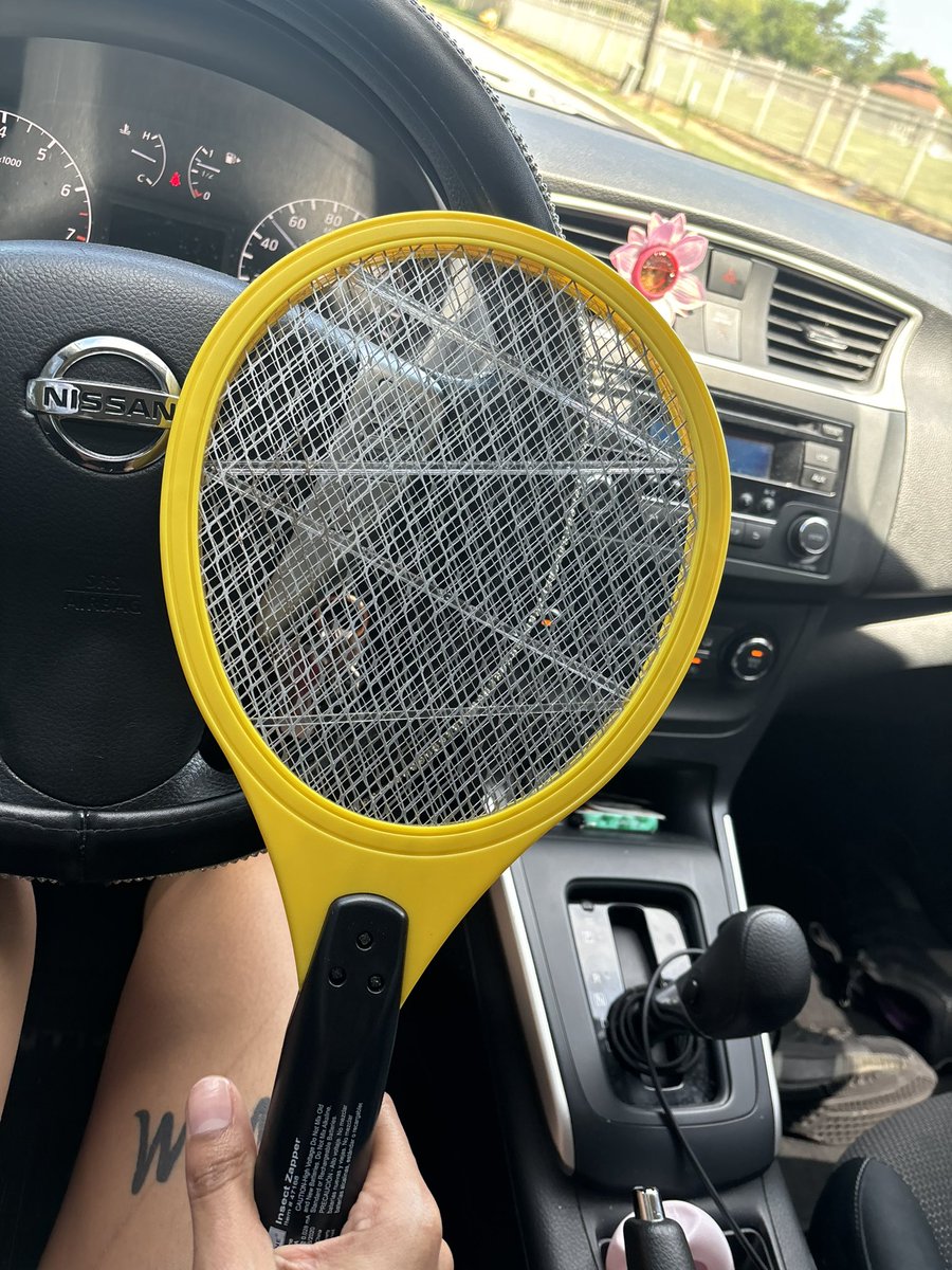 _kayt33_'s tweet photo. I’m not playing with these cicadas 😭 https://t.co/rCbuZEtadO