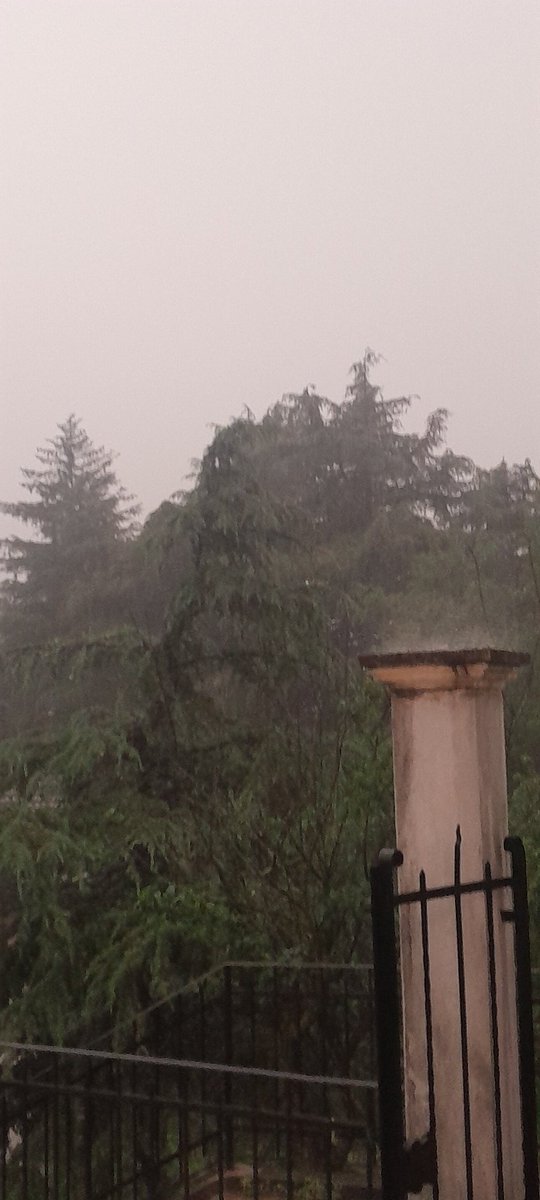 chaetleschats's tweet photo. Dacci anche oggi la nostra #pioggia quotidiana (oggi però esagera) #climaimpazzito https://t.co/wDbTAsBlTp
