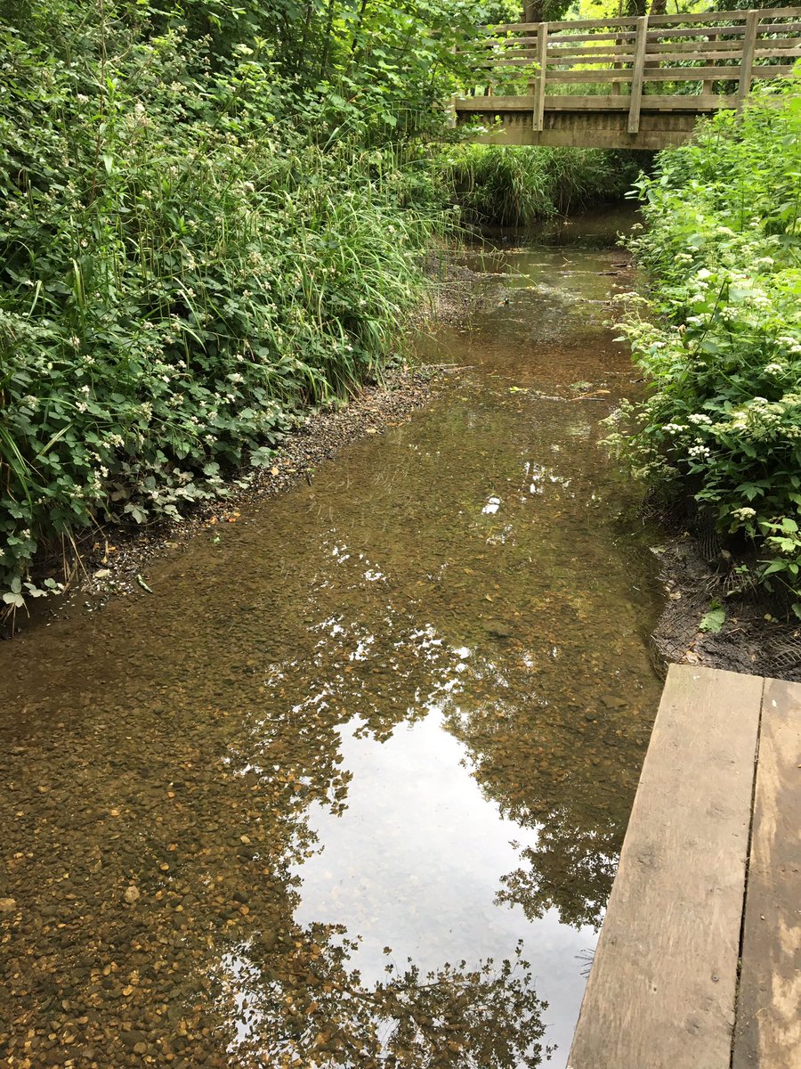 sjalexander9's tweet photo. Took part in #GreatUKWaterBlitz arranged by @Earthwatch_Eur. Great to see so many dots on the #FreshWaterWatch map- many citizen scientists getting involved to gather data on our water bodies. This was our local River Pinn. https://t.co/EYVrN5lfDO