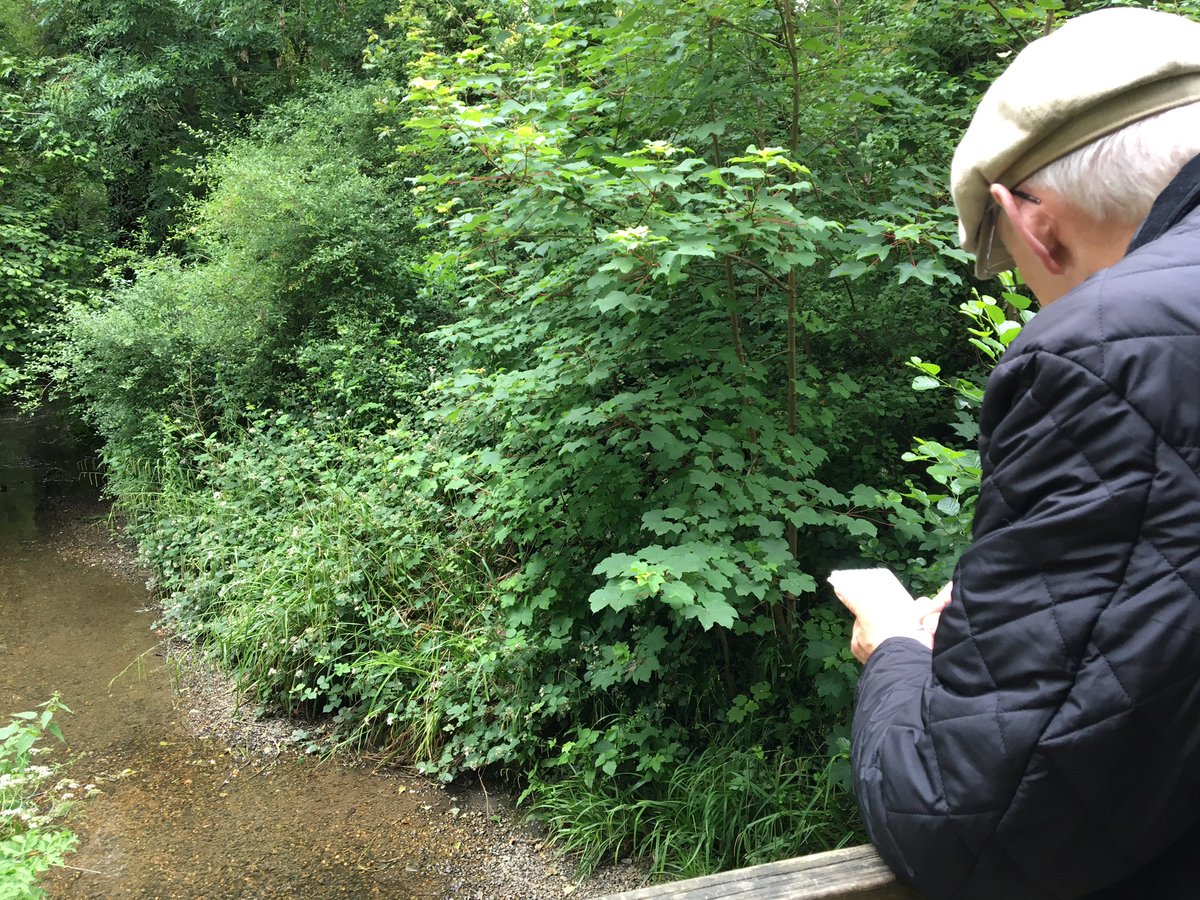 sjalexander9's tweet photo. Took part in #GreatUKWaterBlitz arranged by @Earthwatch_Eur. Great to see so many dots on the #FreshWaterWatch map- many citizen scientists getting involved to gather data on our water bodies. This was our local River Pinn. https://t.co/EYVrN5lfDO