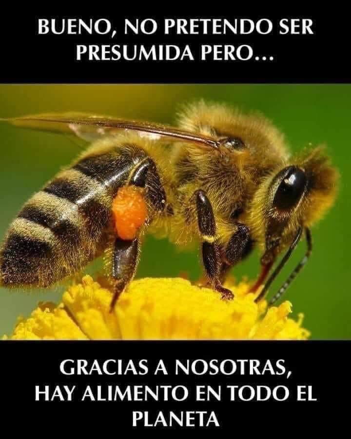 Enséñame de Ciencia tweet media