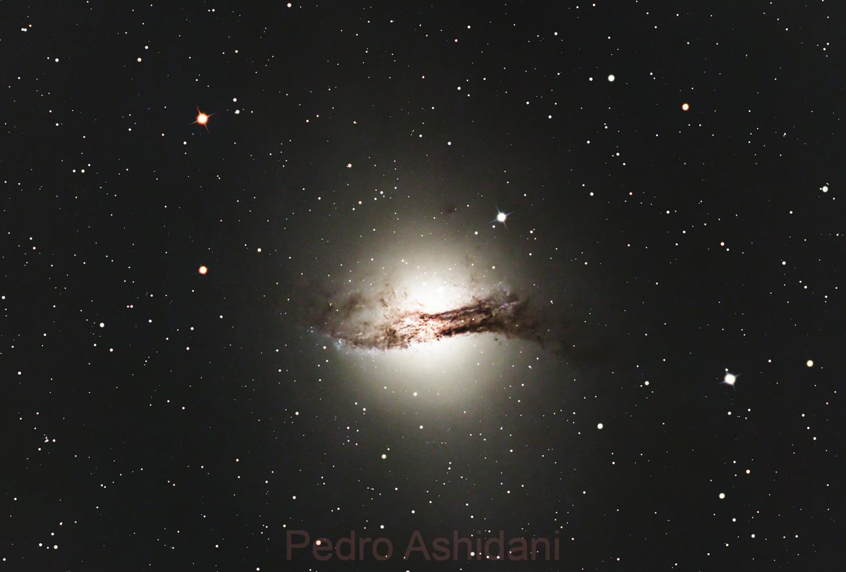 ashidani's tweet photo. Esta bela galáxia capturada pelo Ritchey-Chretien Astrograph RC6.
3 horas de exposição
filtros LRGB https://t.co/h3ZVCCZsmr