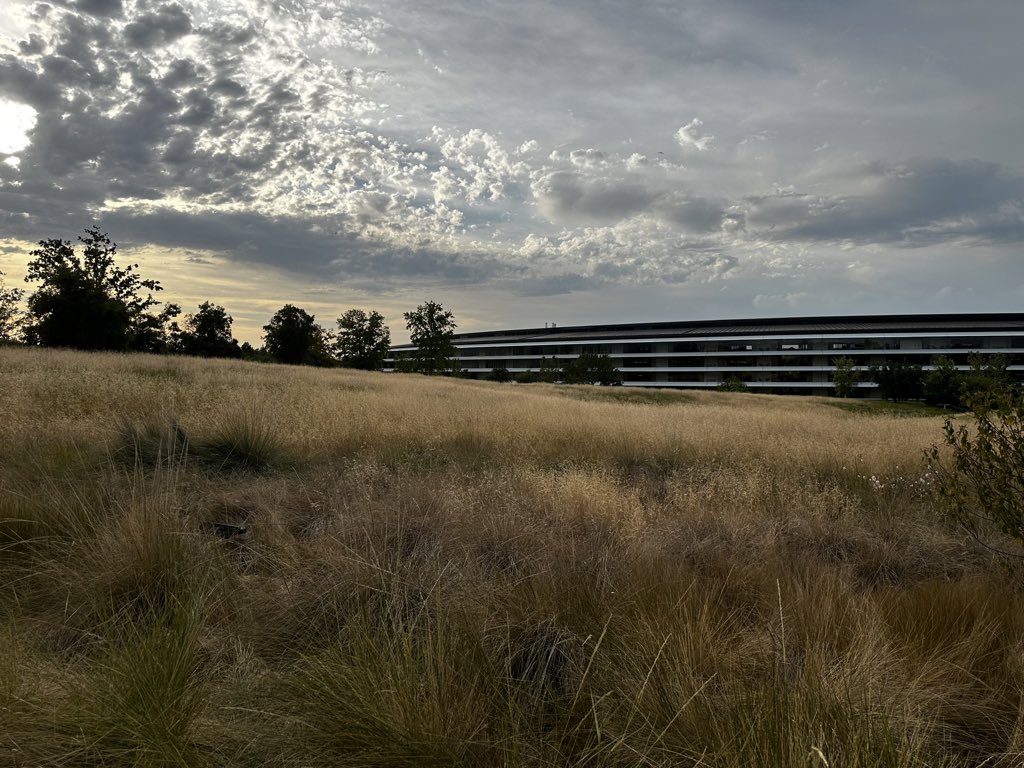 SamGabbay's tweet photo. One more day until #WWDC24 https://t.co/hdU4aaTB14
