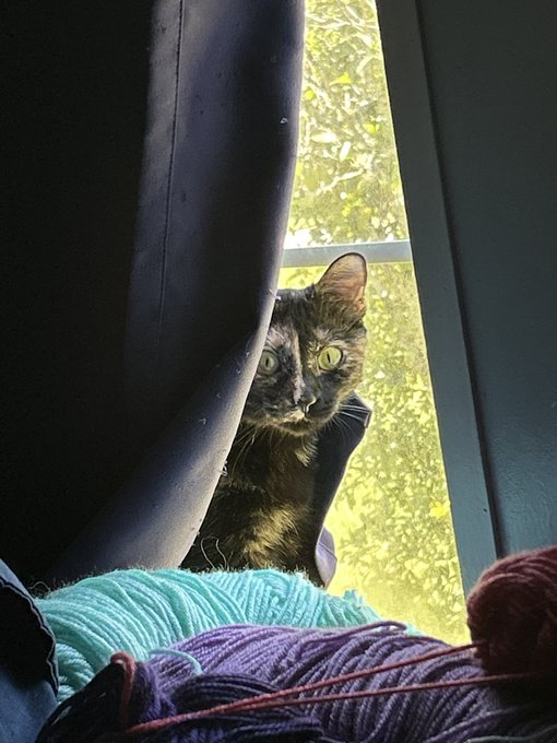 We nap now https://t.co/l4DVgYEYMq