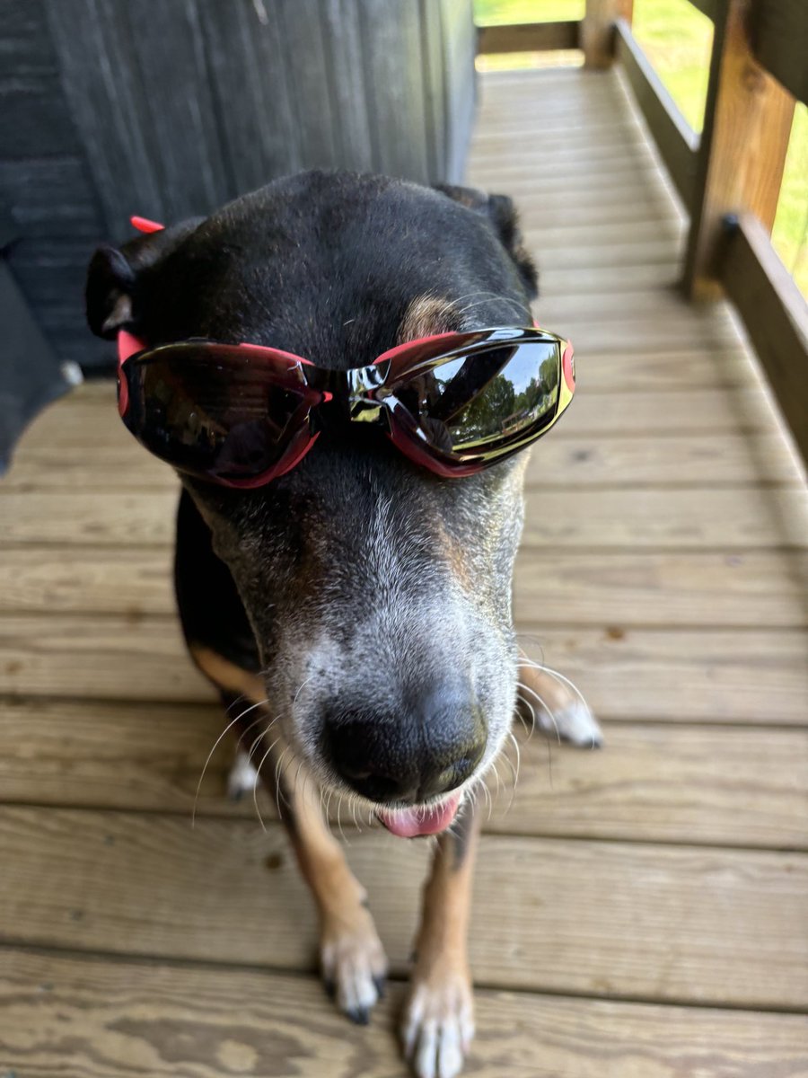 Sog you have to stop... you smoke too tough... your swag too different.. your bitch too bad... theyll kill you...
Sog: