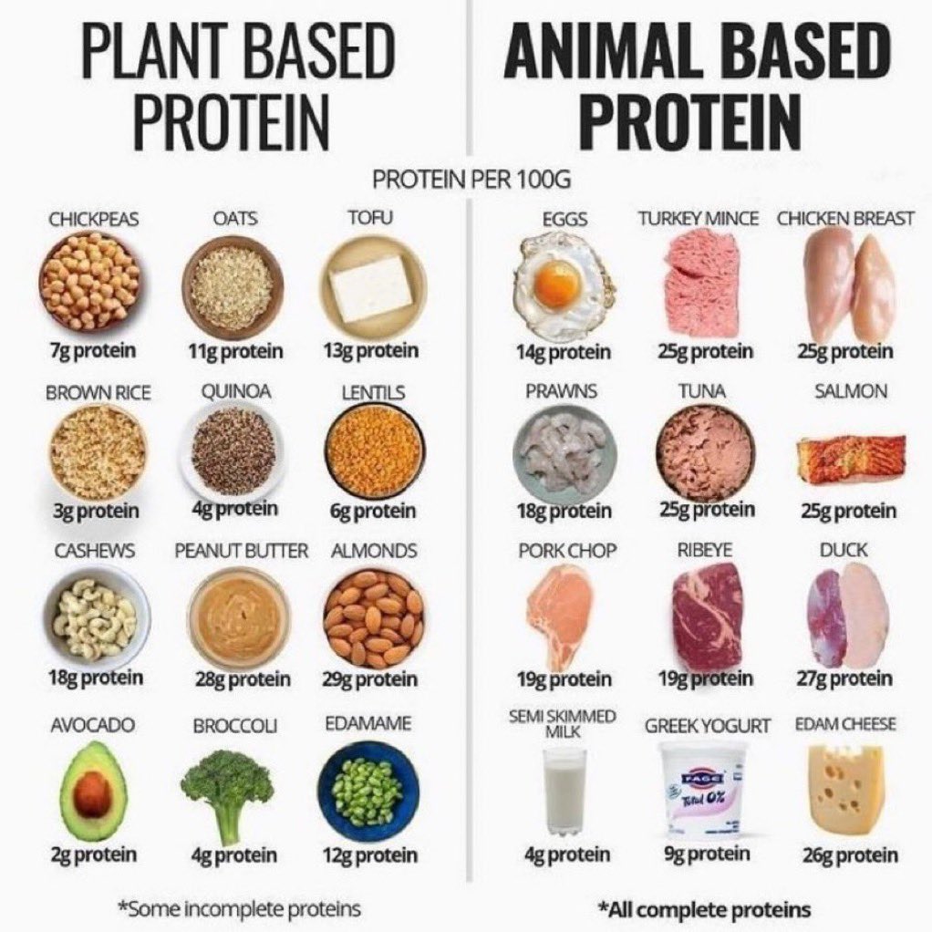 Plant based protein and animal based protein #foods #protein
