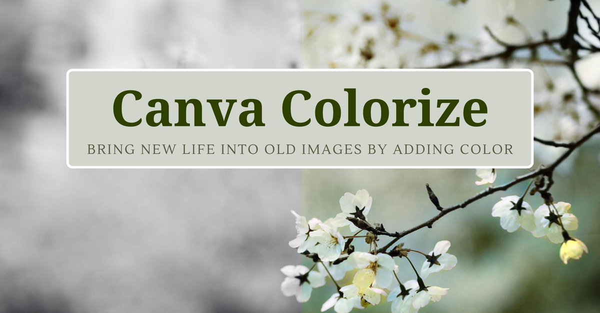 Ratikanta_73's tweet image. DAY 1️⃣6️⃣1️⃣Of #366DaysOfLearning : @Canva Edition!
🚀 Day 9 Focus: Using @Canva Colorize Feature.

#366DaysOfLearning #CanvaLearning #GraphicDesign #CreativeJourney #DesignTrends

Follow Me on LinkedIn: bit.ly/Ratikanta