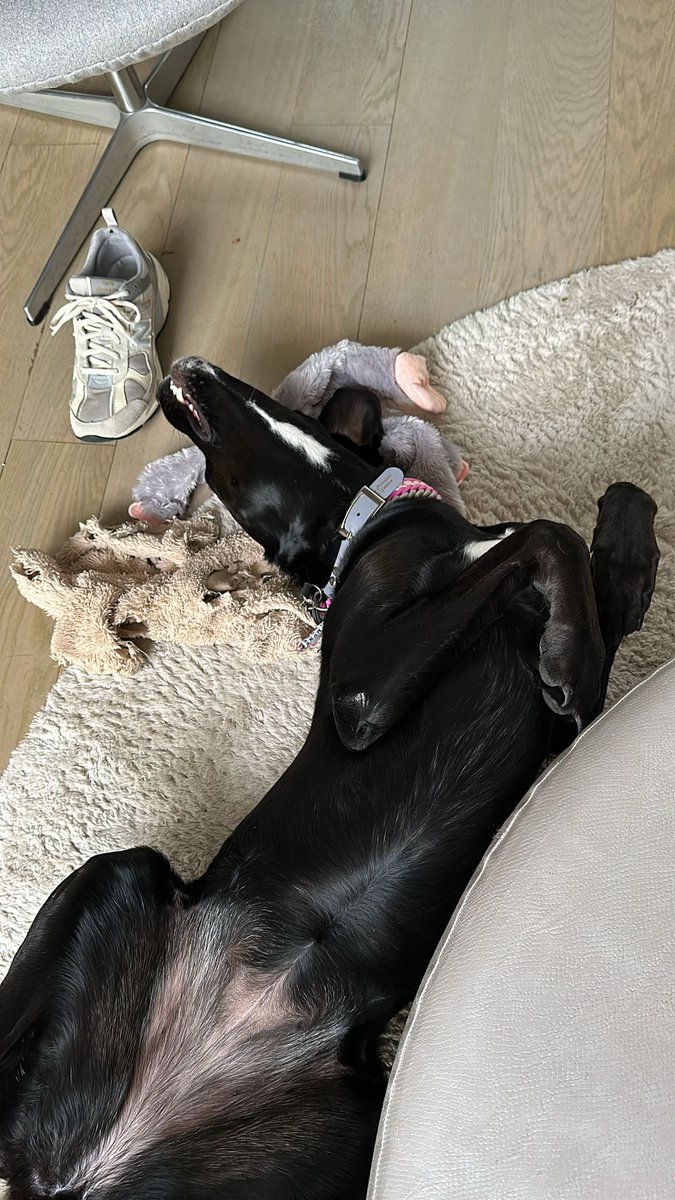 Julien Courbet tweet media