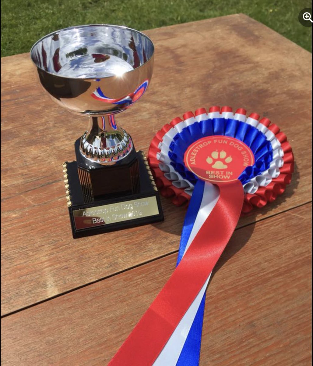 AdleOpenDay's tweet photo. We can’t help but get excited, Just four weeks to go until the Adlestrop Dog Show. Judged by the one and only CHRISTOPHER BIGGINS. Will your dog win best in show?
Just one of the events scheduled for our Village Open Day SUNDAY 7th JULY from 11am- 4.30pm https://t.co/VlgwtI6ODc