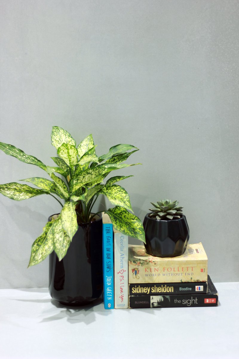mananda_india's tweet photo. Transform your living space into a serene haven with Mananda's exquisite ceramic pots. We are dedicated to creating products that combine beauty and functionality. Our pots are designed to be versatile, enhancing every corner of your home with their timeless elegance. https://t.co/k3HJmGtApv