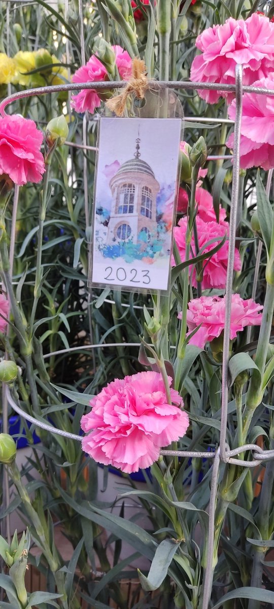 fetspersitges's tweet photo. Cloenda de la 84A Exposició Nacional de Clavells, catifes, façanes i balcons a @hospitalsitges, @corpusdesitges #sitges #clavell #corpussitges #fetspersitges @fetspersitges https://t.co/ELZa3aKnqj
