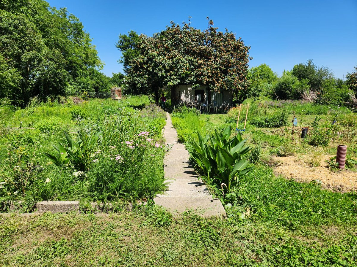 somdesalt's tweet photo. Oi que fa goig l'hort de l'@ateneusalt? 😍 

Doncs en part és gràcies als matinals a l'hort, una activitat que fem de la mà de #Milfulles a les hortes de #Salt 🌿

Si teniu curiositat per remenar la terra, tan sols heu de venir els dimecres de 10 a 13H. 😊 https://t.co/GQyEaW2Tct