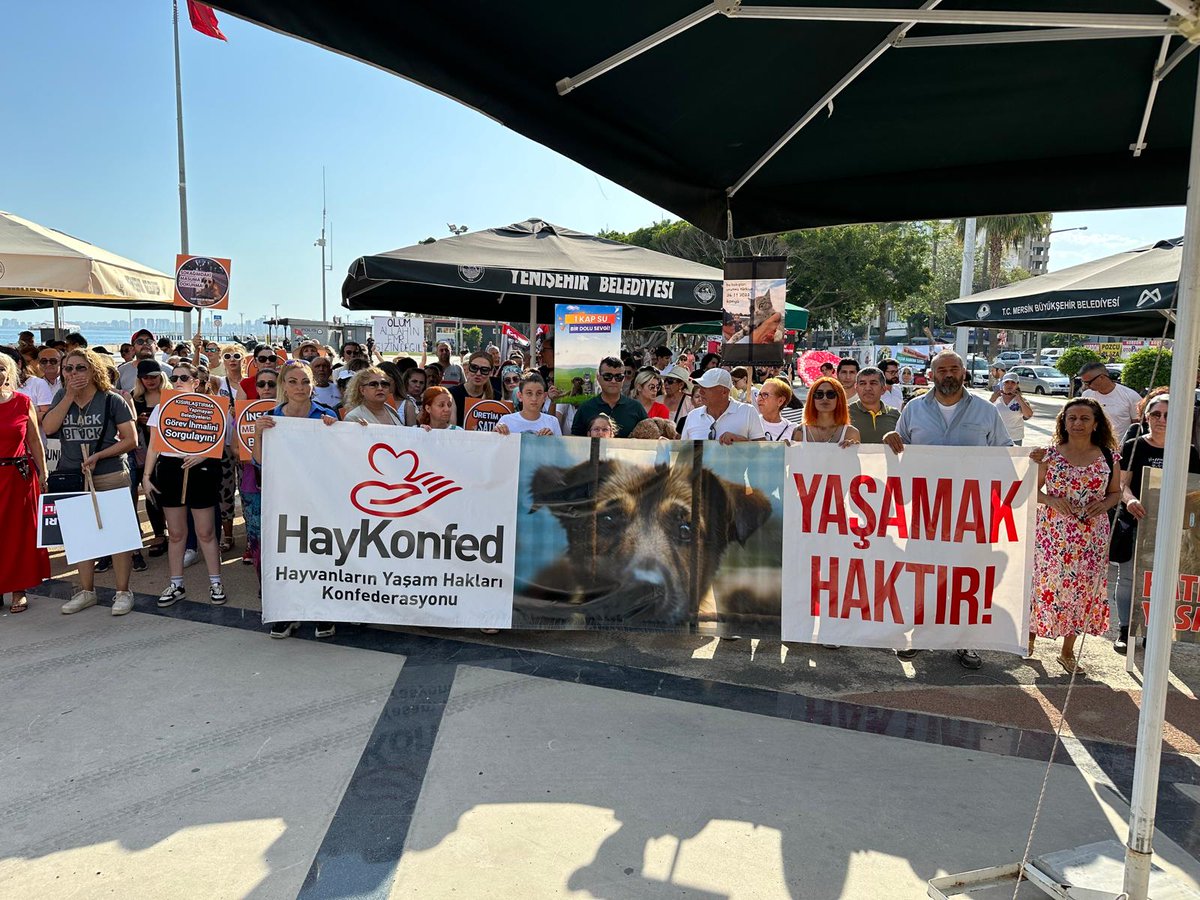 MersinBarosu's tweet photo. Sokak hayvanlarının uyutulması için hazırlanan yasa tasarısına tepki göstermek amacıyla, Mersin Barosu ile çeşitli sivil toplum örgütlerinin iş birliğinde “Esarete, toplamaya, ölüme, hayır” Mersin Mitingi düzenlendi.

Detaylar link: https://t.co/kOhXRDLGfw https://t.co/aWGM2GTMcx