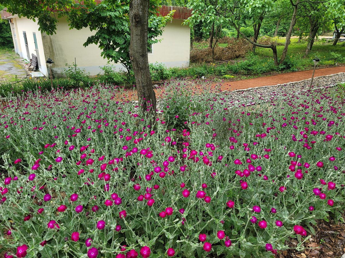 황토길 걸어 보세요