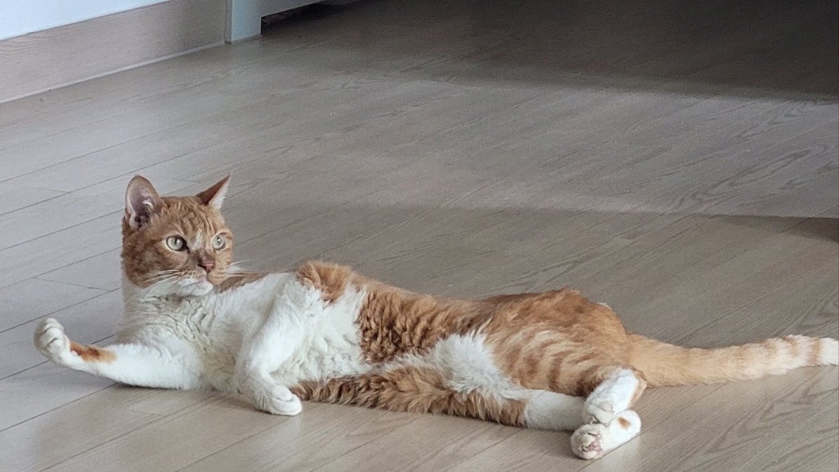 김뿌리 tweet media