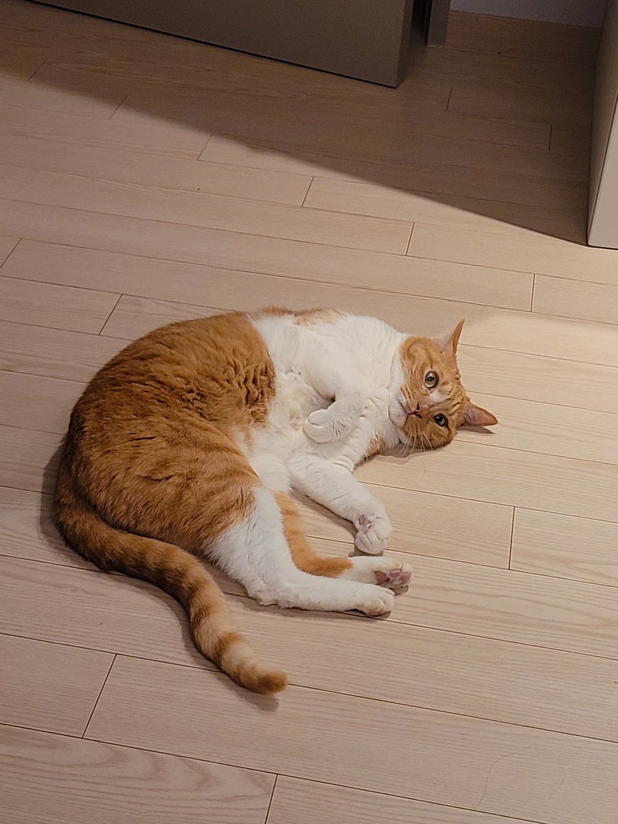 김뿌리 tweet media