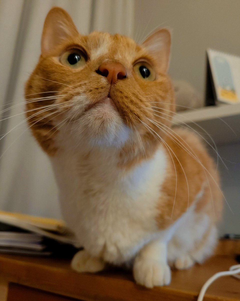 김뿌리 tweet media