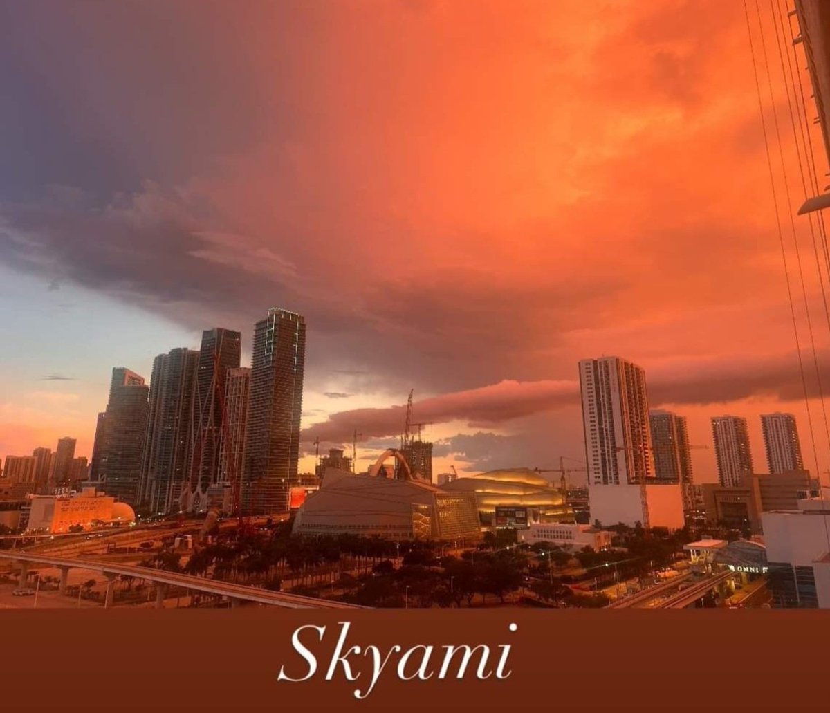 Sylvia Solano tweet media