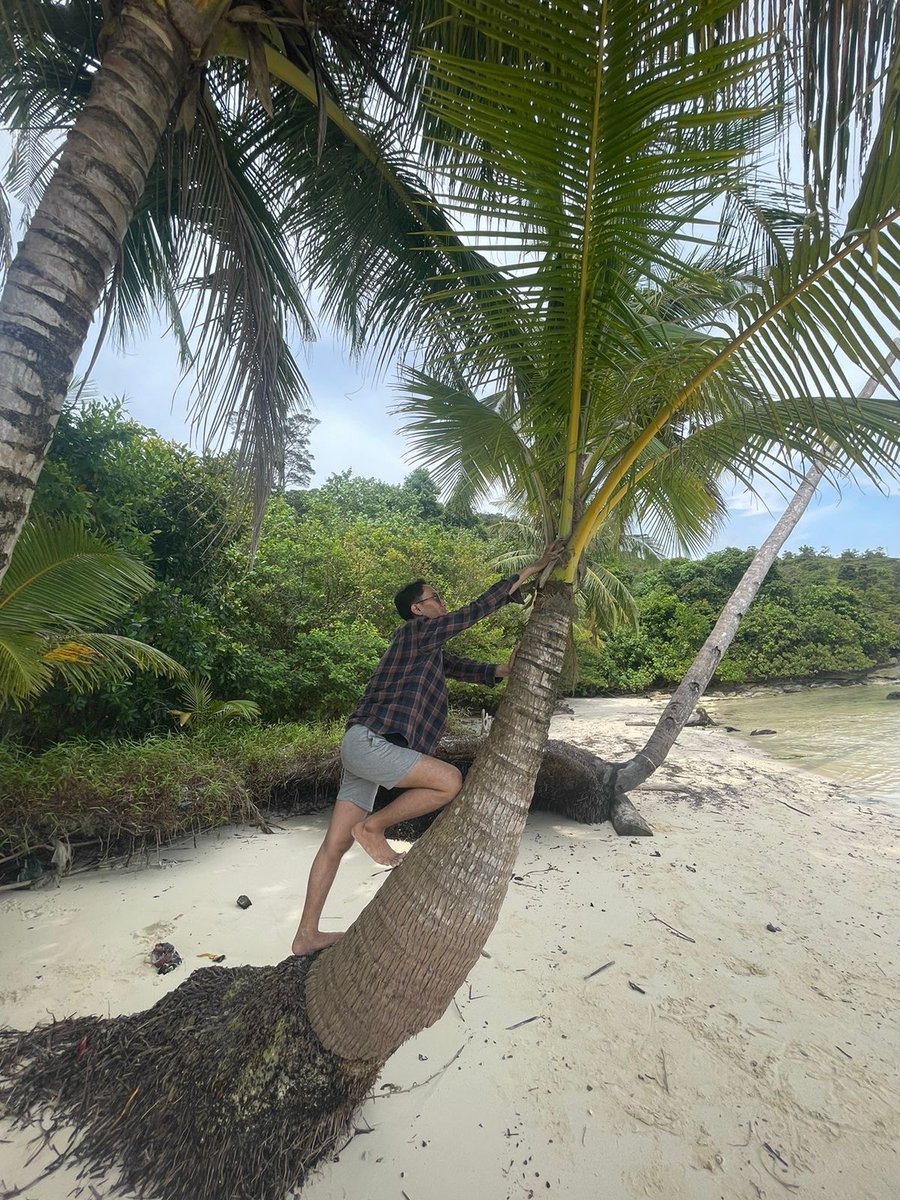 kikoxxb's tweet photo. Yang gendong aku ya, gk bisa turun
*Misalnya 🙇🏻‍♂️ https://t.co/7Glo72hteU