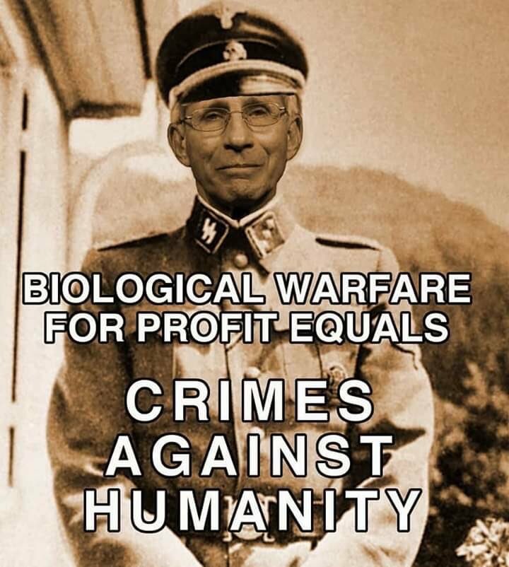 HeliaRossini's tweet photo. @bennyjohnson Molly Pitcher on X: "@LeadingReport Throw Fauci in jail. https://t.co/UyEVQOdIf1" / X