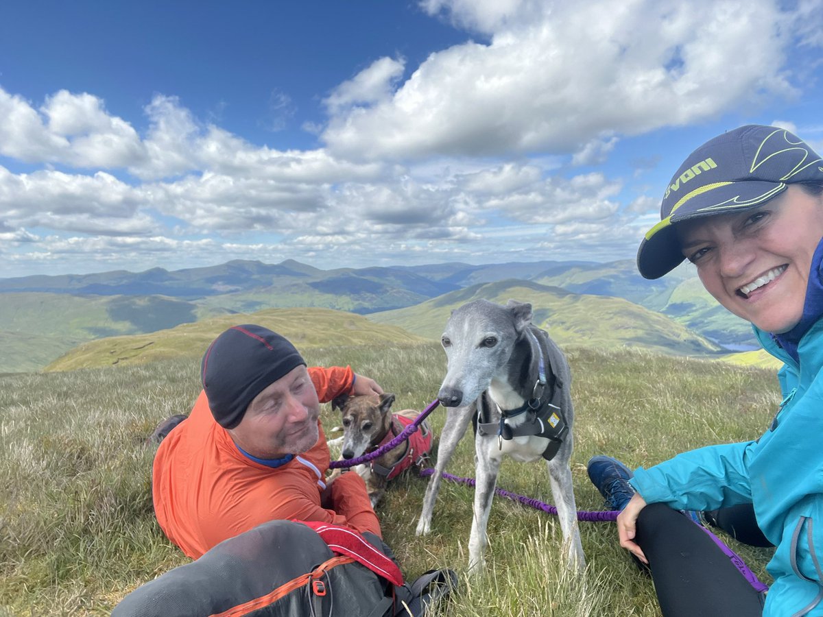 ratherbrunning's tweet image. The munros are getting about bit much for Rosie now but we’ve had a lush weekend taking in a couple of corbetts from Balquidder. The weather was kind and the hills quiet - absolutely perfect 🐾🐕💜