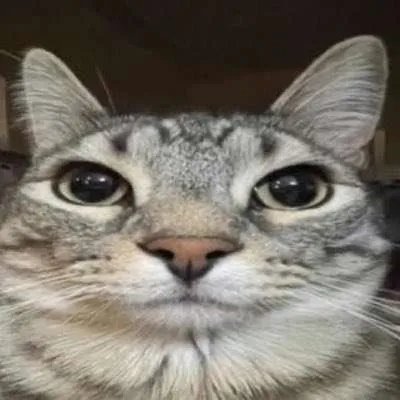 Transphobes_Ls_'s tweet photo. @pk13510 The starving homeless man on the street watching as a drag queen reads to them "The very hungry caterpillar": https://t.co/xNkqi8MWrs