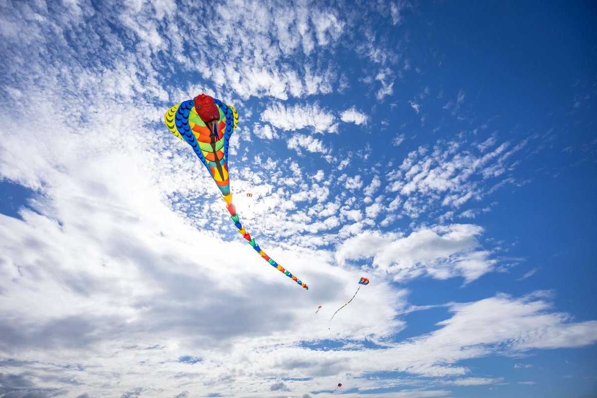 Exp_Brampton's tweet photo. What a day to celebrate the 10th annual Brampton KiteFest at Greenbriar Recreation Centre! 🎉

It was a family-friendly celebration of kites, kite fliers and eco-friendly recreation!

Thank you to everyone who came out and made this event unforgettable. https://t.co/RkJgCTYJDo