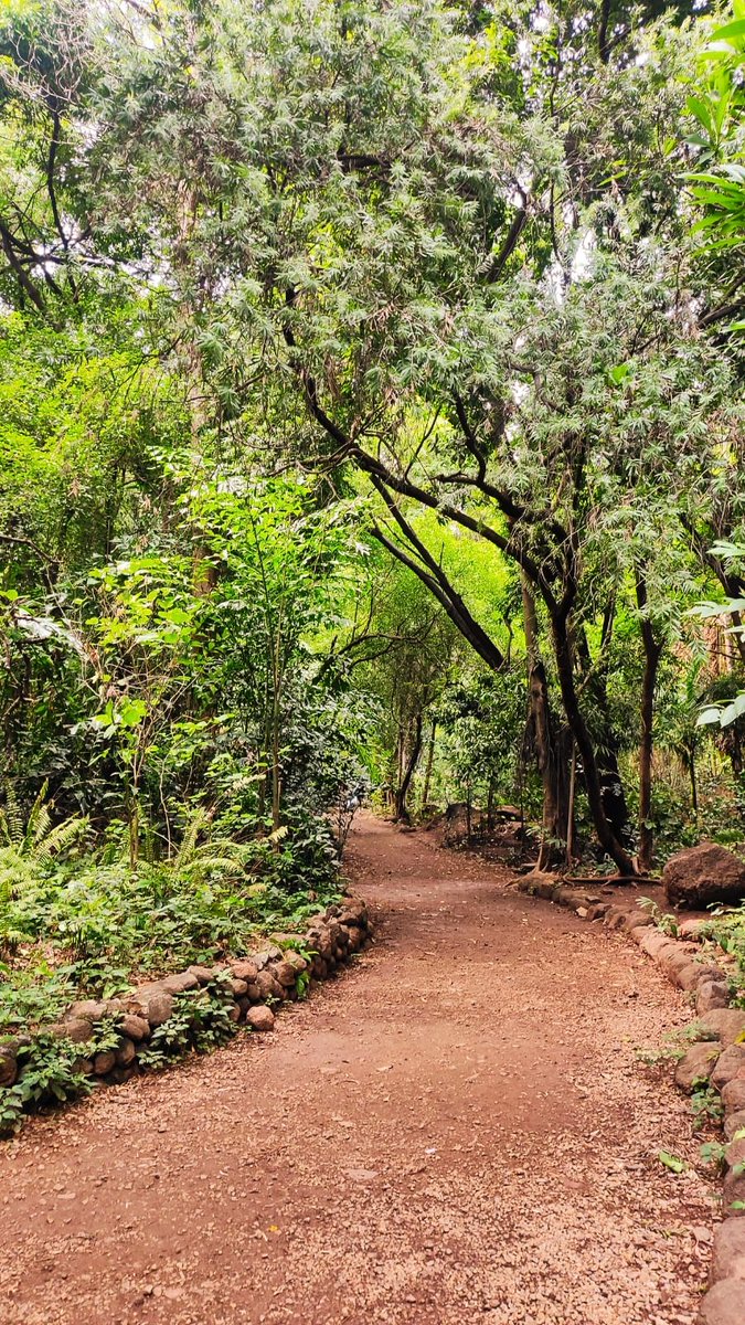 pretty nice weather in Pune ♥️🫰