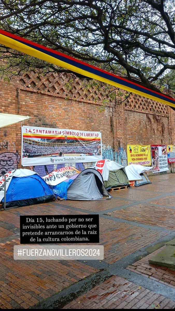 DiegoATorero's tweet photo. #FuerzaNovilleros #FuerzaNovilleros2024
#RegulaciónSiprohibiciónNo https://t.co/2m0X4LgaiF