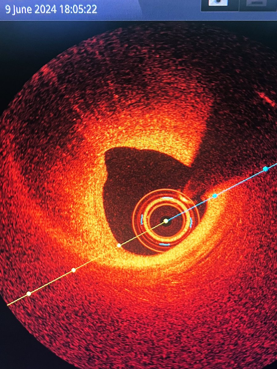 rami jubeh tweet media