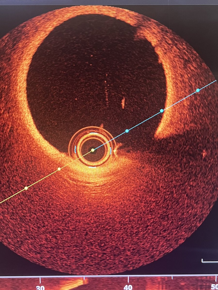 rami jubeh tweet media