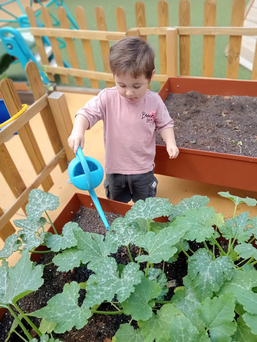 petitsgegantsV's tweet photo. 🥬 Aquesta setmana hem recollit els enciams del nostre hort. 

#intensament #escolacompromesa #llar #infantil #vedrunabategaambtu #miradesdeservei #petitsgegantsvedruna https://t.co/BkQbcMXsV1