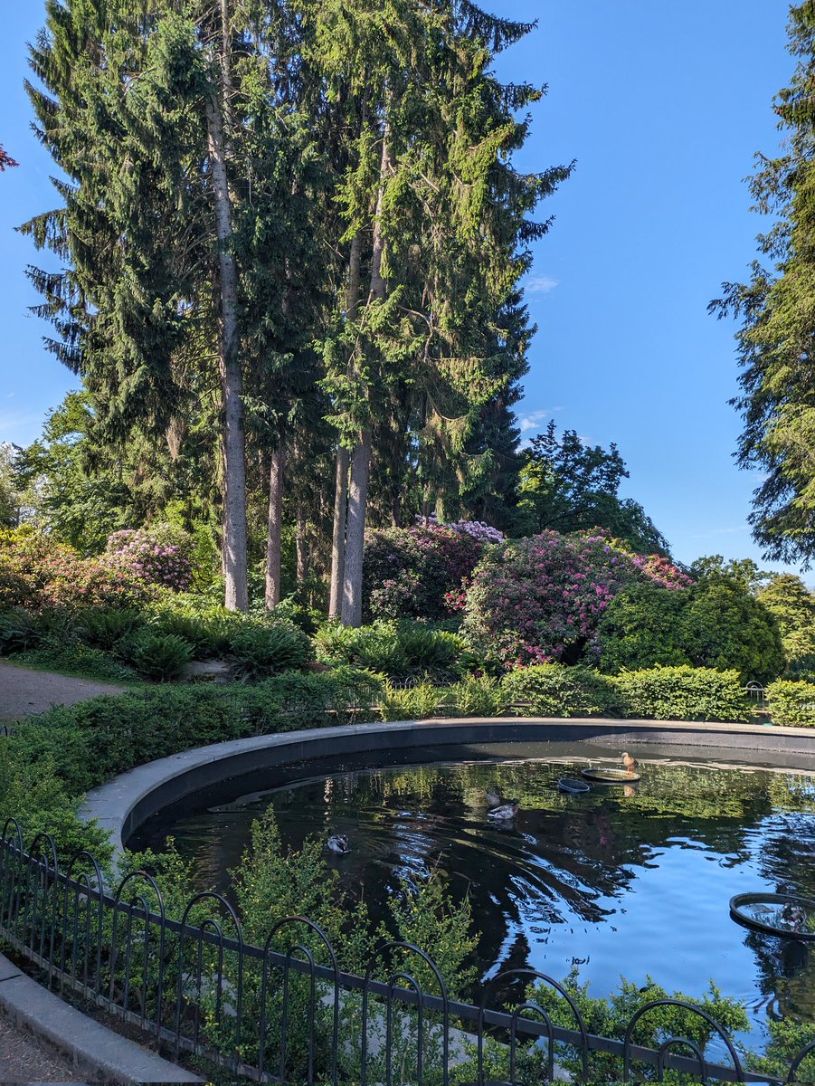 Lucas_Semb's tweet image. The colors, the foliage, the mountains, the ocean, the islands, living in Capitol Hill - really not sure what more you could want.

Living our dream now! 🏙️ And still saw a Griz sticker on a car today!