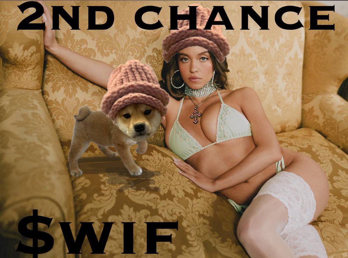 <a href="/SecondChanceCTO/">WIF (Second Chance)</a> $WIF loves to give people second chances!!! ❤️💎🚀