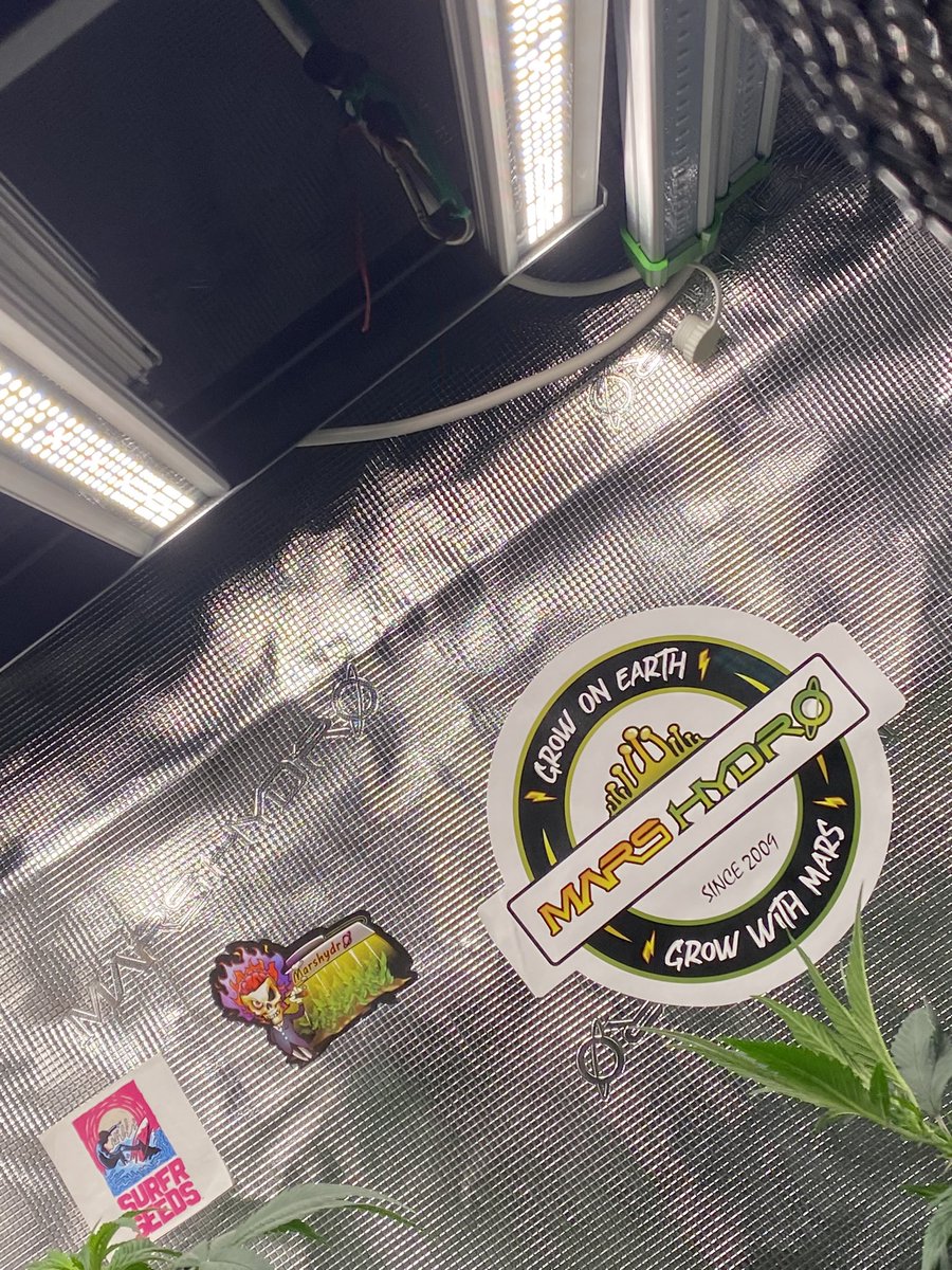 djallnight718's tweet photo. @Henry117_
#MarsHydroGrowKit
#MarsHydroGrowTent
#MarsHydroGrowFan
#MarsHydroFCE1500
#MarsHydroADLITE
#UV30
#IR15
Stickers Are official 🔥🔥🔥🔥
@MarsHydroLight @Marshydro https://t.co/g5lXHpz77d