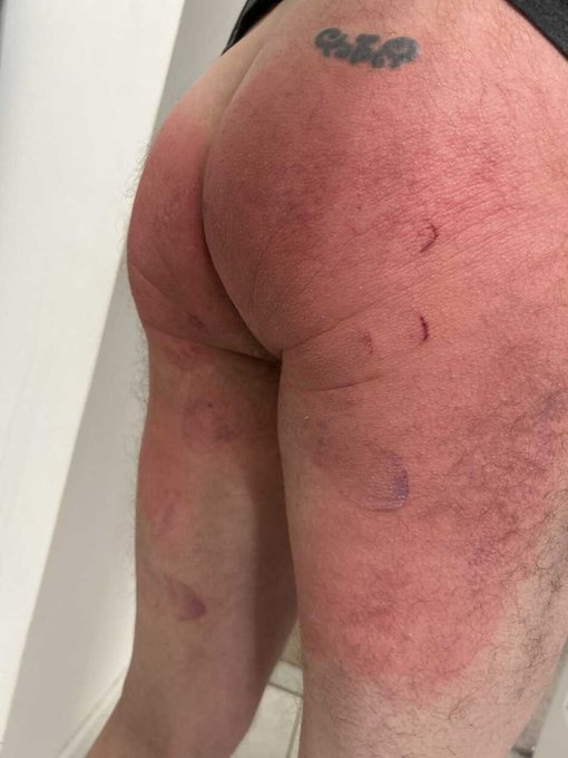 Small dick losers deserved to get their wallets drained, spanked and made as domestic slaves.   Look<a href="/tag/blackmail"class="tags"><span>#blackmail</span></a><a href="/tag/niteflirts"class="tags"><span>#niteflirts</span></a>