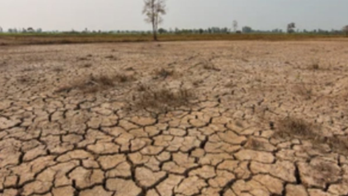 Chelsea groundsman 😂😂😂 #socceraid