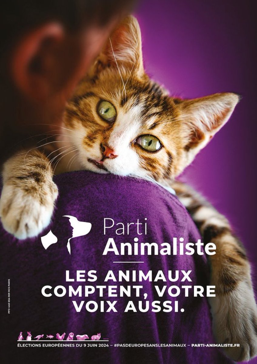 ProfesseurBang's tweet photo. Ce chat fait mieux que Philippot, Asselineau et Lalanne réunis. https://t.co/qfXVKTUWX4