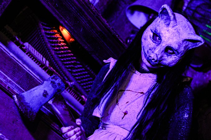 Picked up a camera and traveled through haunted places yesterday <3 https://t.co/7bvUYIDYru