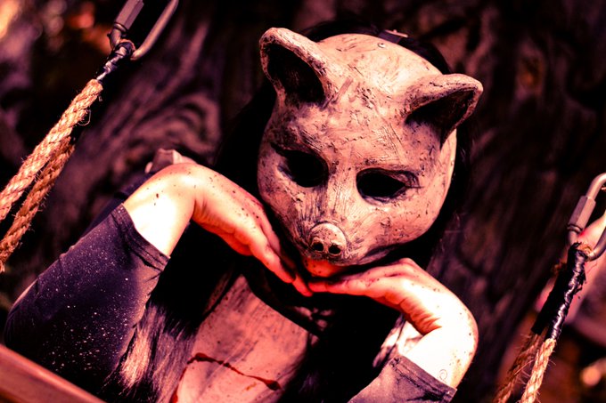 Picked up a camera and traveled through haunted places yesterday <3 https://t.co/7bvUYIDYru