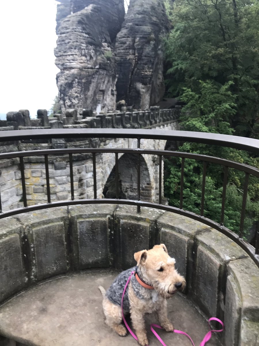 Nice walk in Saxon Switzerland