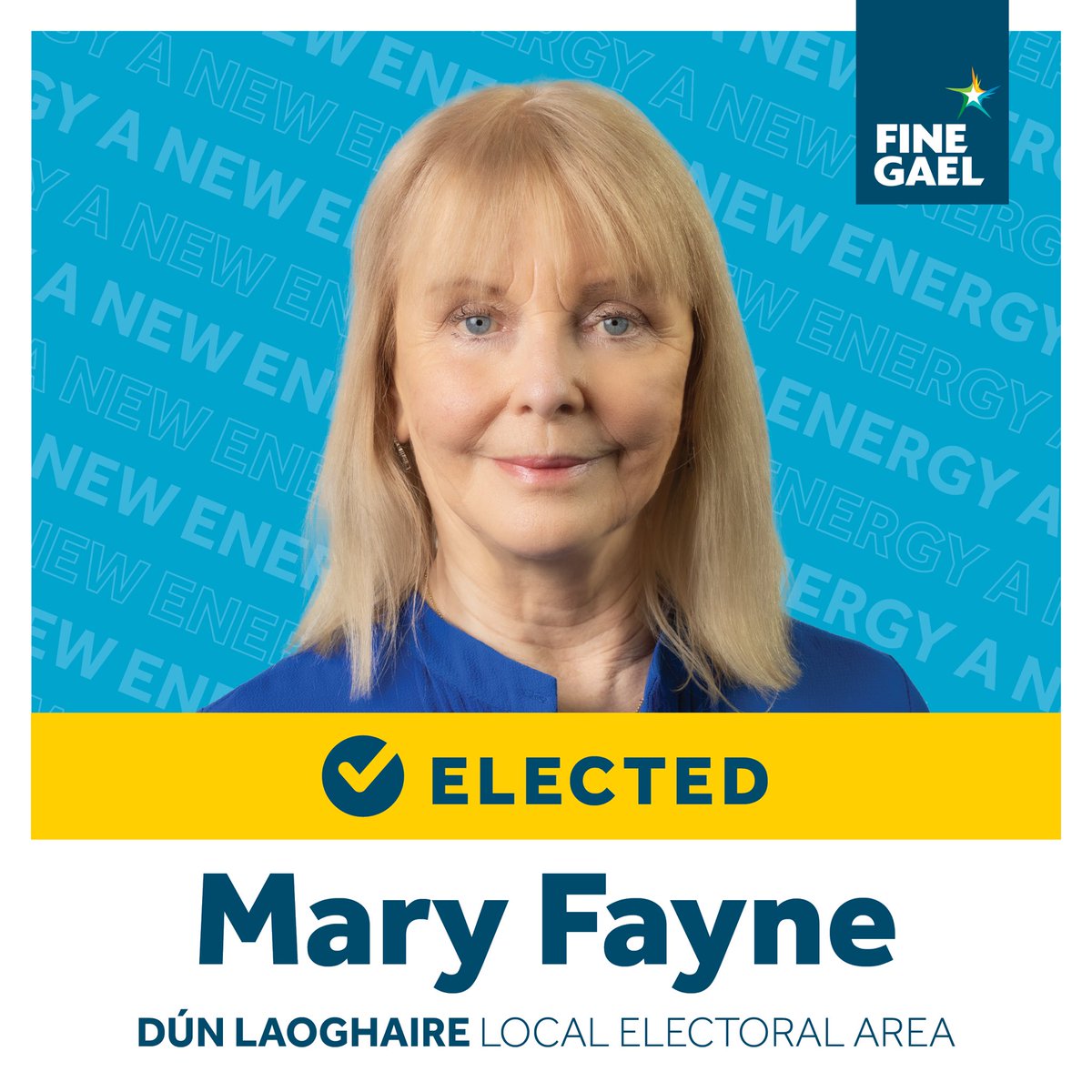 Fine Gael tweet media