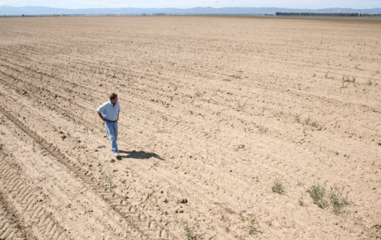The pitch at  #SoccerAid