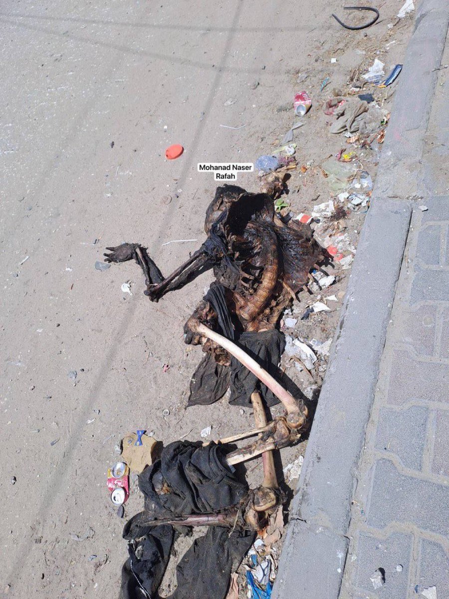 SuppressedNws's tweet photo. Decomposed bodies of martyrs on the roads in Tal al-Sultan, west of Rafah, where the israeli occupation killed them during the exodus a few days ago, and medical teams have been prevented from entering to recover. https://t.co/1NLsukjM26