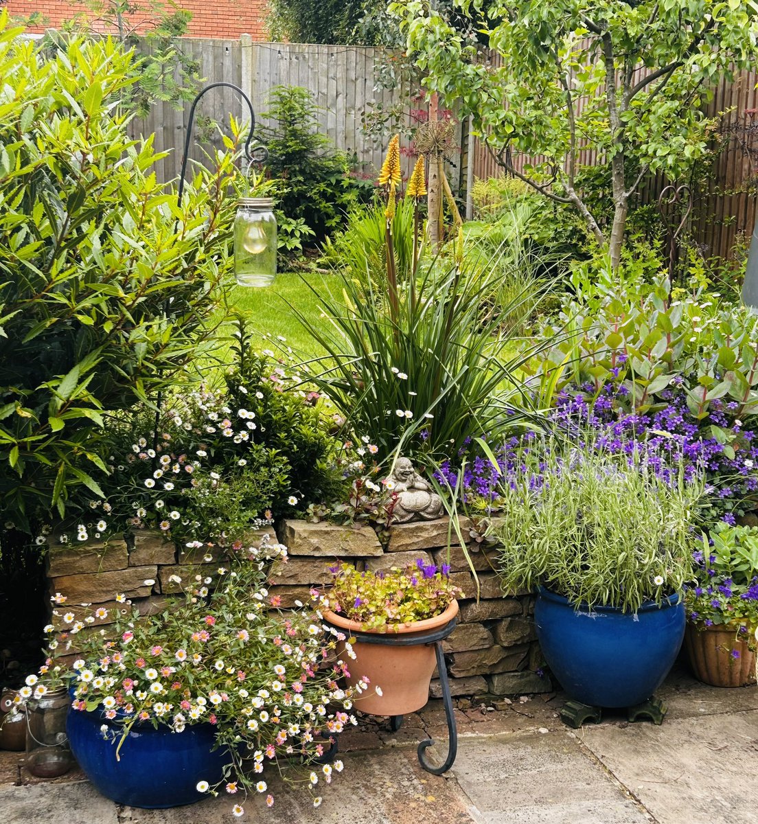 Good evening, taking in the beauty of the garden tonight #GardeningX #gardens #garden