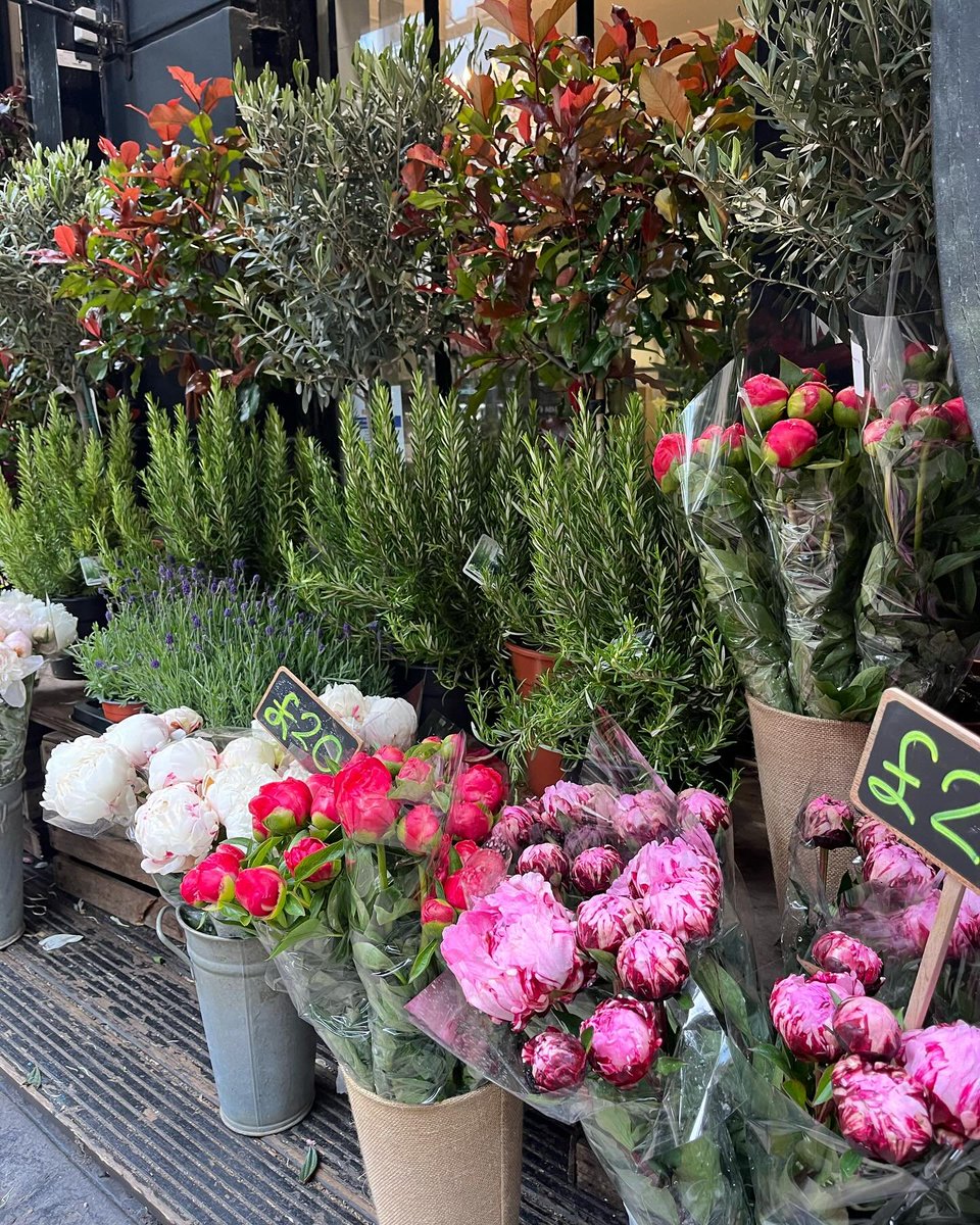 Lambs Conduit Street tweet media